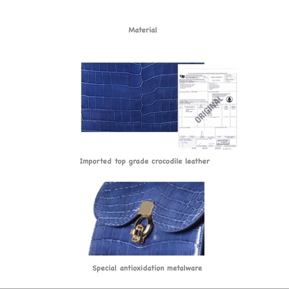 Pre-Order D’MOM HebillaNile CrocodileBelly handbag - Picture 5 of 8